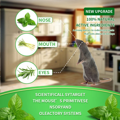 🥳2026 HOT SALE🥳  💞50% OFF!  🚫 Stop Mice Before They Move In  🌿Natural Peppermint Mouse Repellent