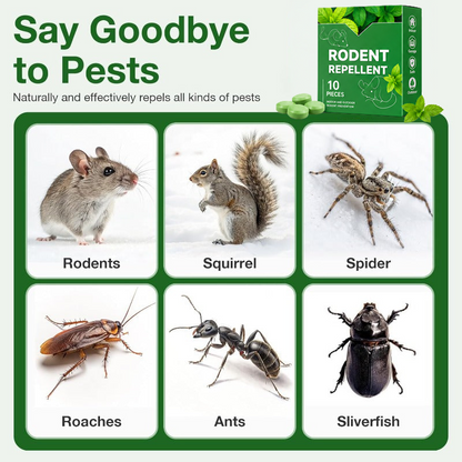 🥳2026 HOT SALE🥳  💞50% OFF!  🚫 Stop Mice Before They Move In  🌿Natural Peppermint Mouse Repellent