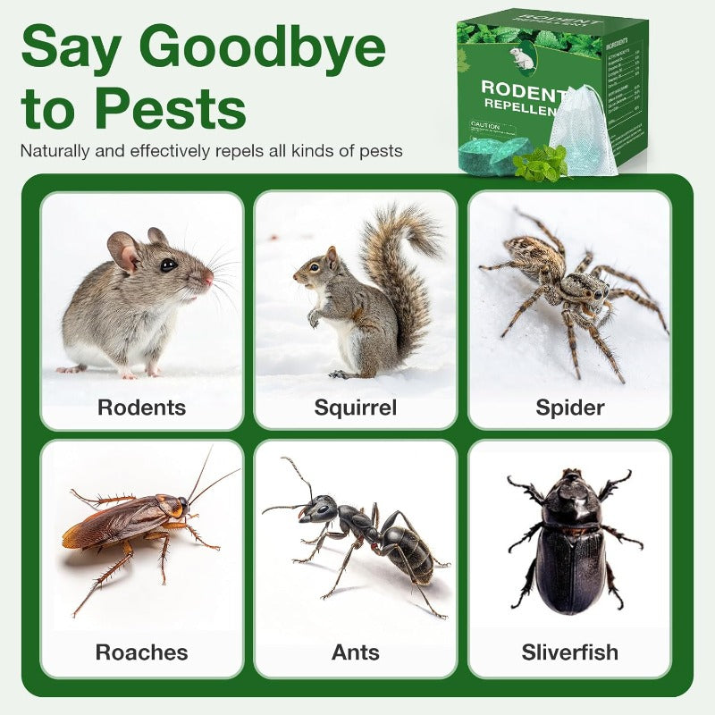🥳2026 HOT SALE🥳  💞50% OFF!  🚫 Stop Mice Before They Move In  🌿 Natural Peppermint Mouse Repellent