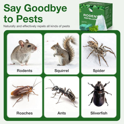 🥳2026 HOT SALE🥳  💞50% OFF!  🚫 Stop Mice Before They Move In  🌿 Natural Peppermint Mouse Repellent