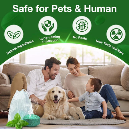 🥳2026 HOT SALE🥳  💞50% OFF!  🚫 Stop Mice Before They Move In  🌿 Natural Peppermint Mouse Repellent